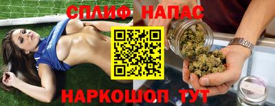 стафф Дубна