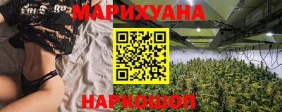 стафф Дубна