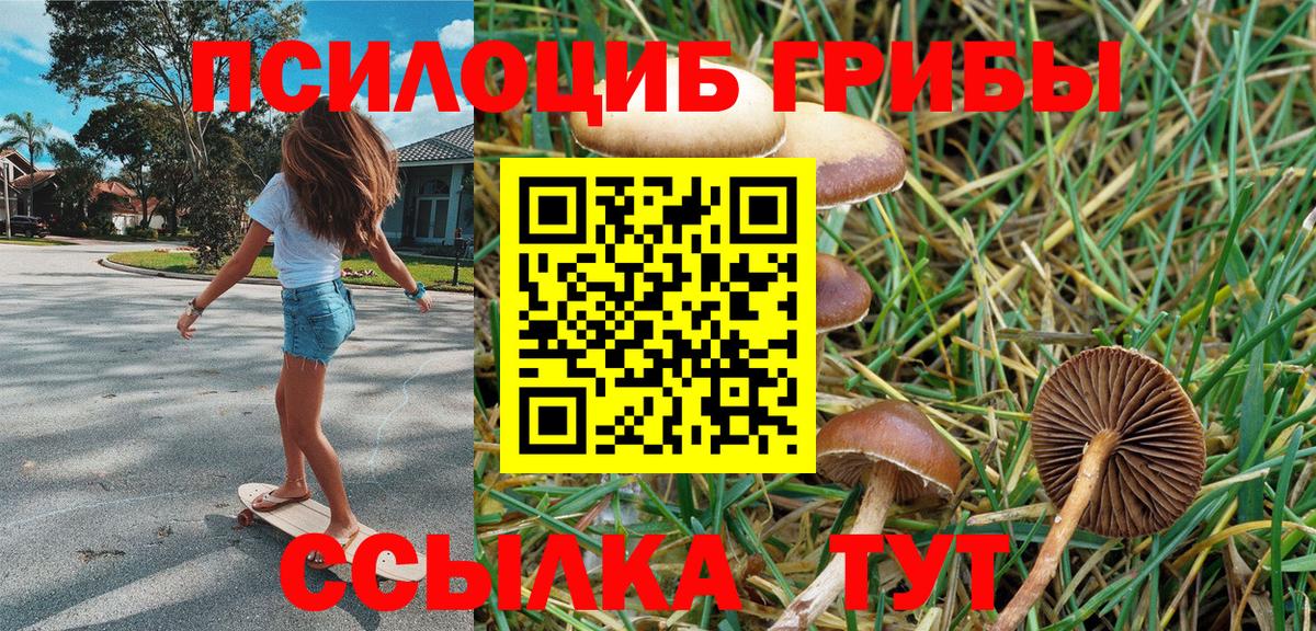 купить  цена  Галлюциногенные грибы GOLDEN TEACHER  Вход с VPN  Шелехов 